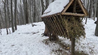 Лісівники області наповнили годівнички для диких тварин, січень 2025 року, Хмельниччина