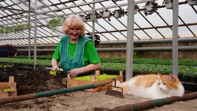 Працівниця Харківзеленбуду у теплиці