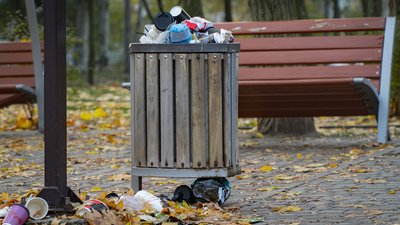У Дніпрі місцеві жителі скаржаться на купи сміття на алеї: що каже влада У Дніпрі місцеві жителі скаржаться на купи сміття на алеї: що каже влада
