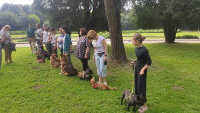 У Львові безкоштовно проводять каністерапію для дітей з інвалідністю У Львові безкоштовно проводять каністерапію для дітей з інвалідністю