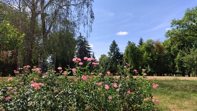 Погода у Вінниці