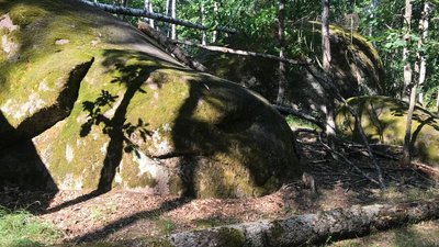 Український Стоунхендж: легенди та містика Камінного Села на Житомирщині Український Стоунхендж: легенди та містика Камінного Села на Житомирщині
