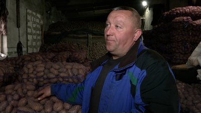 Саджають менше та навіть викидують: фермери з Новгородсіверщини скаржаться на низкий попит на картоплю Саджають менше та навіть викидують: фермери з Новгородсіверщини скаржаться на низкий попит на картоплю