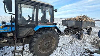 деревина, лісоруби