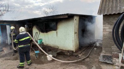 На Дніпропетровщині, під час пожежі у сараї, загинули свині та кури На Дніпропетровщині, під час пожежі у сараї, загинули свині та кури