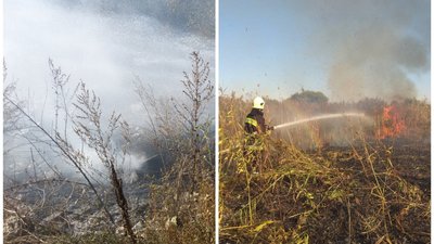На Луганщині локалізували загоряння трави у Новоайдарському районі