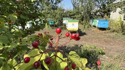 Село Високопілля Олександрівська громада