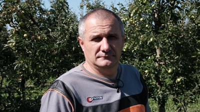 "Брак опадів та проблема зі збутом". Фермер з Буковини про врожай яблук