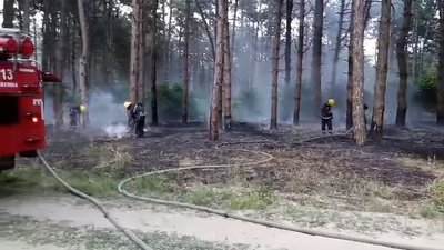 На Херсонщині зменшилась кількість пожеж, проте зросла їх площа На Херсонщині зменшилась кількість пожеж, проте зросла їх площа