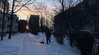 Погода у Черкасах 11 січня