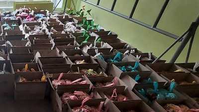 У Сумах видадуть по кілограму цукерок кожній дитині, яка навчається у школі чи дитсадку