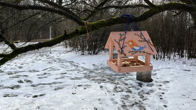 Зміни для дендропарку: які плани у Полтаві