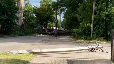 В Олександрії Кіровоградської області на будинок впало дерево В Олександрії Кіровоградської області на будинок впало дерево
