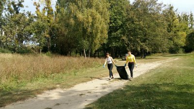 "Які люди свині", - учасниця луцької толоки "Які люди свині", - учасниця луцької толоки
