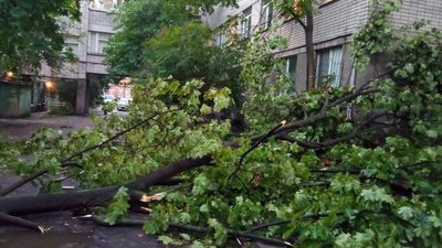 У Дніпрі ліквідовували наслідки негоди У Дніпрі ліквідовували наслідки негоди