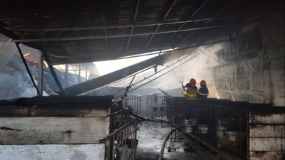 Миколаївські рятувальники ліквідують пожежу на території ферми