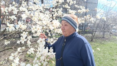 У Хмельницькому ботанічному саду заквітли магнолії та сакури: у чому особливість цьогорічного цвітіння У Хмельницькому ботанічному саду заквітли магнолії та сакури: у чому особливість цьогорічного цвітіння
