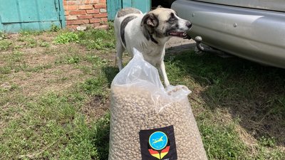 Покинули господарі, але прихистили сусіди: волонтери розвозять корми для тварин прикордонням Харківщини