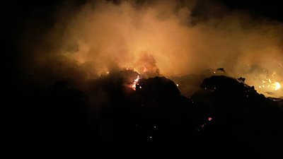 На Одещині ліквідували пожежу на території близько 500 квадратних метрів На Одещині ліквідували пожежу на території близько 500 квадратних метрів