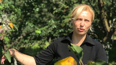 Мати загиблого бійця Мати загиблого бійця