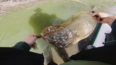 Екологія водойм на Черкащині: Сула річка Екологія водойм на Черкащині: Сула річка