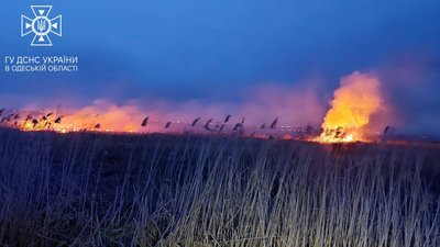 В Одесі горіли поля зрошення