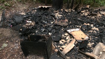 У Рівному невідомі спалили собаче поселення У Рівному невідомі спалили собаче поселення