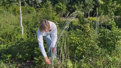 Заробляє на життя плетінням: історія майстрині з Рівненщини Заробляє на життя плетінням: історія майстрині з Рівненщини