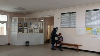 Грип та ГРВІ: в Житомирі з початку лютого захворіли більше тисячі дітей