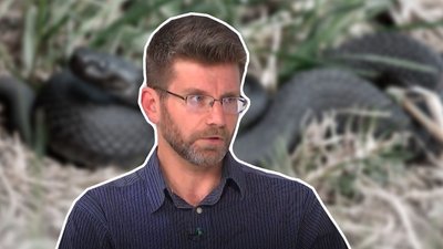 Зустріч із отруйною змією. Львівський серпентолог розповів, як поводитися