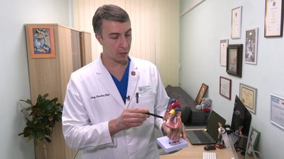кардіоцентр кардіоцентр