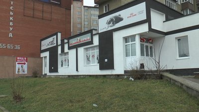 Близько сотні безпритульних котів перебувають у Домі Сірка у Франківську Близько сотні безпритульних котів перебувають у Домі Сірка у Франківську