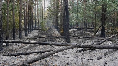 Пожежа у Трахтемирові