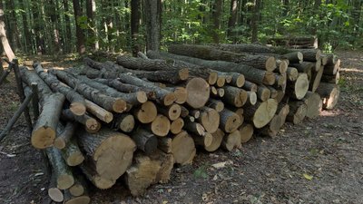 На Хмельниччині дрова з доставкою подорожчали на 30%, Хмельниччина, вересень 2026 року