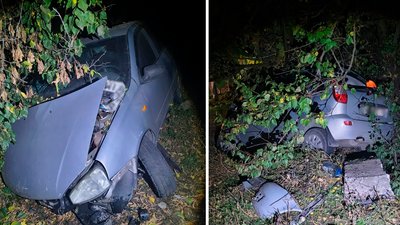 ДТП, Запорізький район, Петро-Свистунове, неповнолітній водій, четверо підлітків, аварія