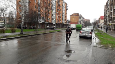 У Полтаві збирають підписи проти перейменування назви вулиці Анатолія Кукоби