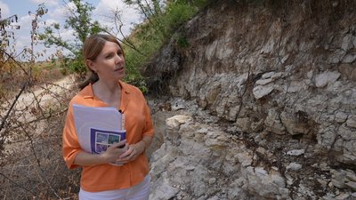 Через підняття води в Інгульці постраждав ботанічний заказник "Івано-Кепине", що на Миколаївщині Через підняття води в Інгульці постраждав ботанічний заказник "Івано-Кепине", що на Миколаївщині