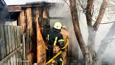 Пожежі на Чернігівщині: пошкоджені будинки, будівлі, транспорт та загинула птиця