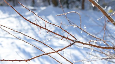 Прогноз погоди 22-23 лютого, погода в Луцьку на вихідні, потепління