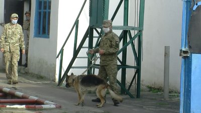 Батьки засуджених влаштували акцію протесту під колонією на Волині. Що вимагали Батьки засуджених влаштували акцію протесту під колонією на Волині. Що вимагали