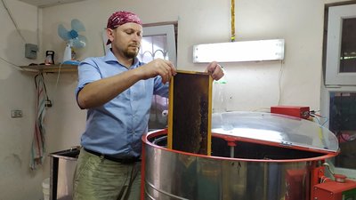 На Миколаївщині знизилася медопродуктивність На Миколаївщині знизилася медопродуктивність