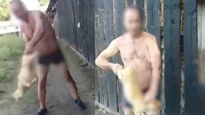Зоозахисники вимагають справедливого покарання за жорстоке вбивство тварин на Буковині