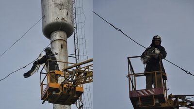 В Одеській області пожежники врятували лелеку В Одеській області пожежники врятували лелеку