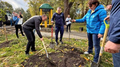 Липова алея на Волині, висаджують липи у Володимирі