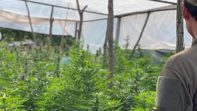 На Херсонщині затримали чоловіка, який віз на територію Росії 16 кг канабісу