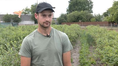 Вчилися вирощувати лохину закордоном: як подружжя на Волині займається ягідним бізнесом Вчилися вирощувати лохину закордоном: як подружжя на Волині займається ягідним бізнесом