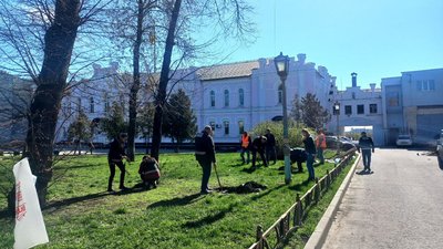 Сіянці від Шевченкового дерева: у Сумах висадили дуби, привезені з Черкащини