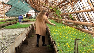 У Житомирі комунальники планують висадити більше 100 тисяч рослин У Житомирі комунальники планують висадити більше 100 тисяч рослин