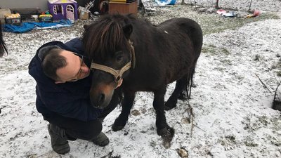 Родина на Тернопільщині виховує 14 дітей, з них 13 – з інвалідністю Родина на Тернопільщині виховує 14 дітей, з них 13 – з інвалідністю