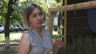 Ольга Костик координує те, як волонтерки "кікімори" для українських бійців Ольга Костик координує те, як волонтерки "кікімори" для українських бійців